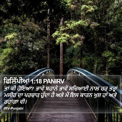 ਫਿਲਿੱਪੀਆਂ 1:18 PANIRV Bible Verse Image
