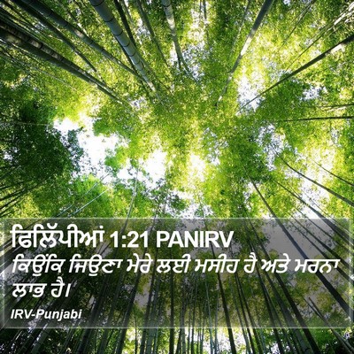 ਫਿਲਿੱਪੀਆਂ 1:21 PANIRV Bible Verse Image