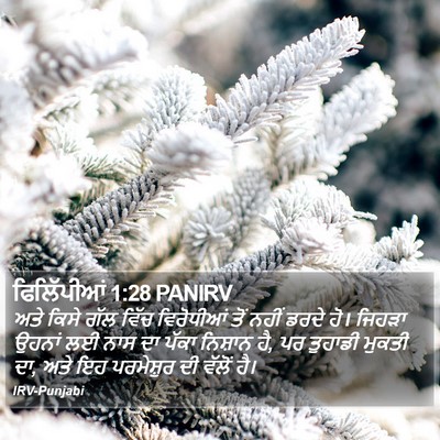ਫਿਲਿੱਪੀਆਂ 1:28 PANIRV Bible Verse Image