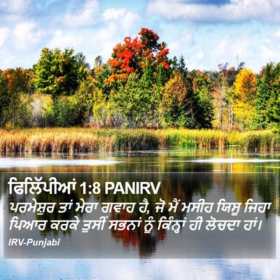 ਫਿਲਿੱਪੀਆਂ 1:8 PANIRV Bible Verse Image