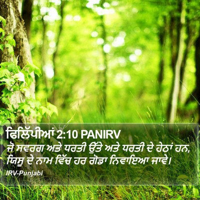 ਫਿਲਿੱਪੀਆਂ 2:10 PANIRV Bible Verse Image