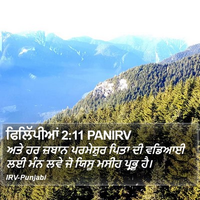 ਫਿਲਿੱਪੀਆਂ 2:11 PANIRV Bible Verse Image