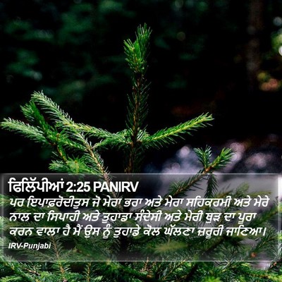 ਫਿਲਿੱਪੀਆਂ 2:25 PANIRV Bible Verse Image