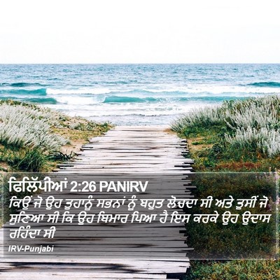 ਫਿਲਿੱਪੀਆਂ 2:26 PANIRV Bible Verse Image