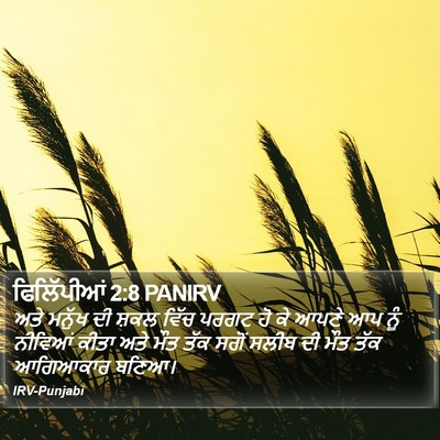 ਫਿਲਿੱਪੀਆਂ 2:8 PANIRV Bible Verse Image