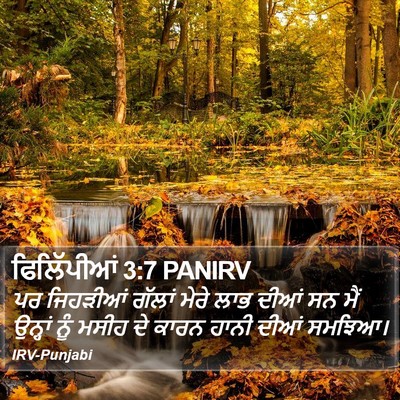 ਫਿਲਿੱਪੀਆਂ 3:7 PANIRV Bible Verse Image