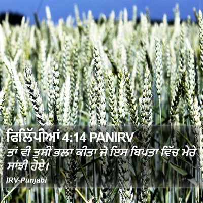 ਫਿਲਿੱਪੀਆਂ 4:14 PANIRV Bible Verse Image
