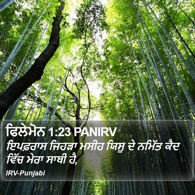 ਫਿਲੇਮੋਨ 1:23 PANIRV Bible Verse Image