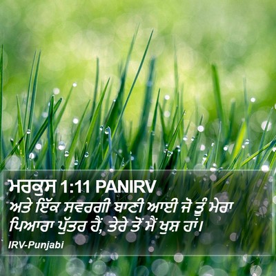 ਮਰਕੁਸ 1:11 PANIRV Bible Verse Image