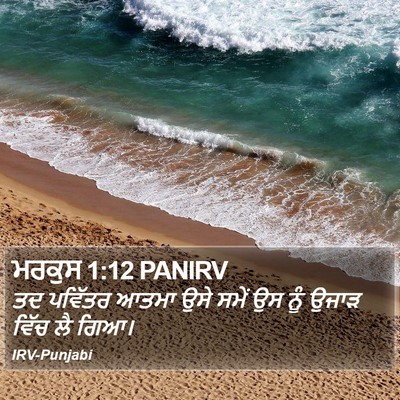 ਮਰਕੁਸ 1:12 PANIRV Bible Verse Image