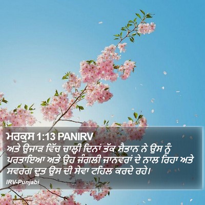 ਮਰਕੁਸ 1:13 PANIRV Bible Verse Image