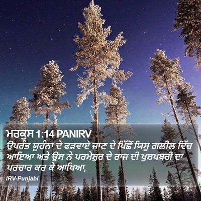 ਮਰਕੁਸ 1:14 PANIRV Bible Verse Image