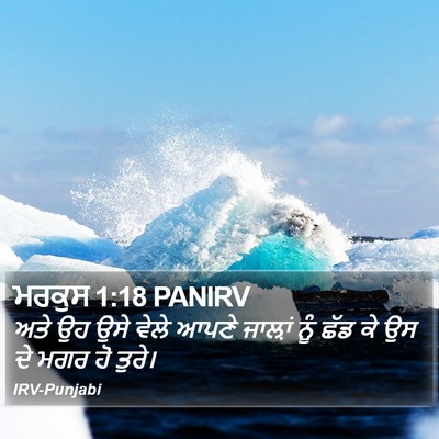 ਮਰਕੁਸ 1:18 PANIRV Bible Verse Image