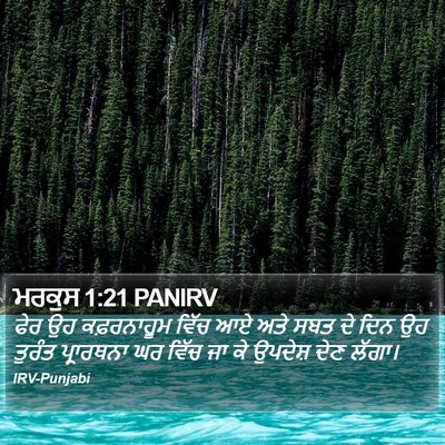 ਮਰਕੁਸ 1:21 PANIRV Bible Verse Image