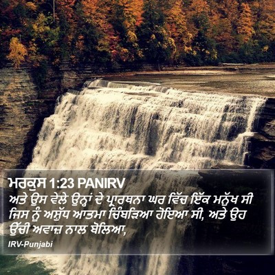 ਮਰਕੁਸ 1:23 PANIRV Bible Verse Image