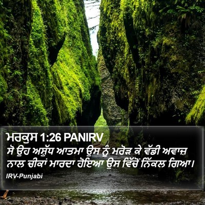 ਮਰਕੁਸ 1:26 PANIRV Bible Verse Image