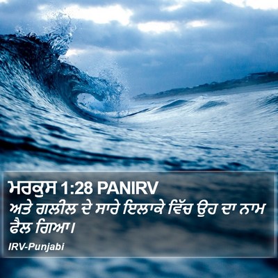 ਮਰਕੁਸ 1:28 PANIRV Bible Verse Image