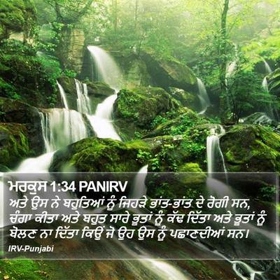 ਮਰਕੁਸ 1:34 PANIRV Bible Verse Image