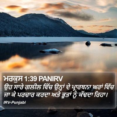 ਮਰਕੁਸ 1:39 PANIRV Bible Verse Image