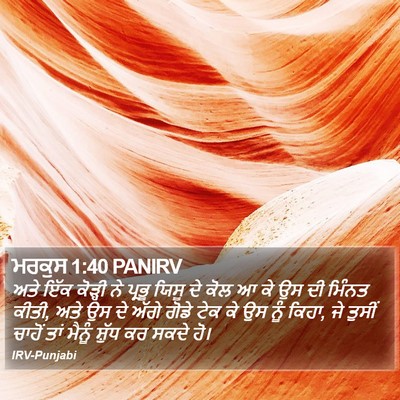 ਮਰਕੁਸ 1:40 PANIRV Bible Verse Image