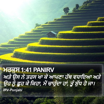 ਮਰਕੁਸ 1:41 PANIRV Bible Verse Image