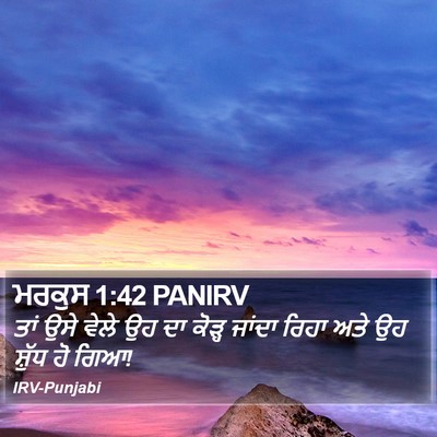 ਮਰਕੁਸ 1:42 PANIRV Bible Verse Image