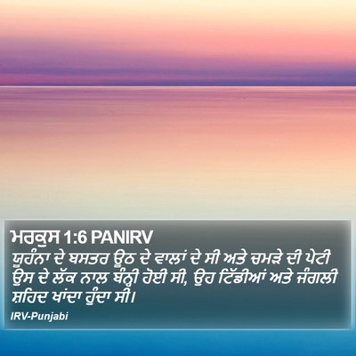 ਮਰਕੁਸ 1:6 PANIRV Bible Verse Image