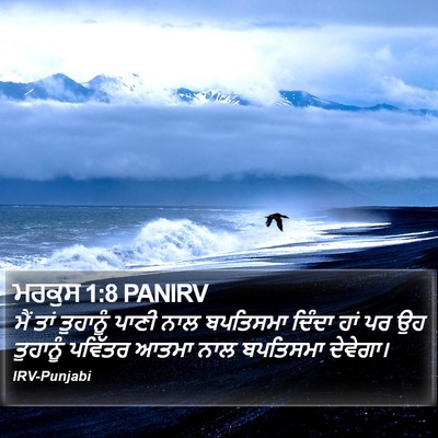 ਮਰਕੁਸ 1:8 PANIRV Bible Verse Image