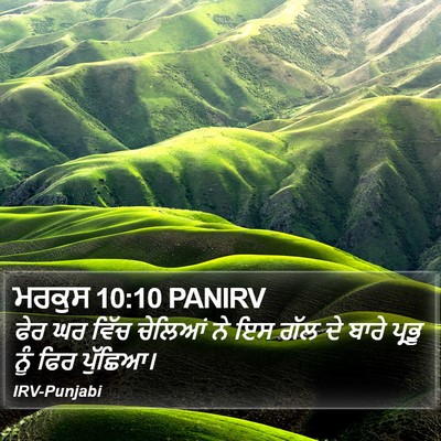 ਮਰਕੁਸ 10:10 PANIRV Bible Verse Image