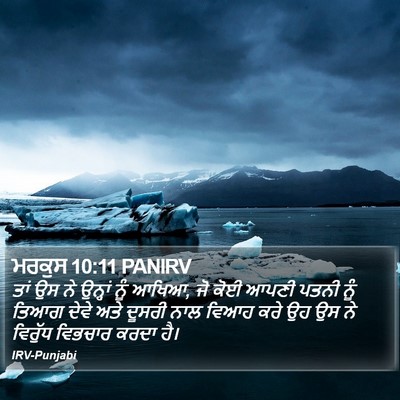 ਮਰਕੁਸ 10:11 PANIRV Bible Verse Image