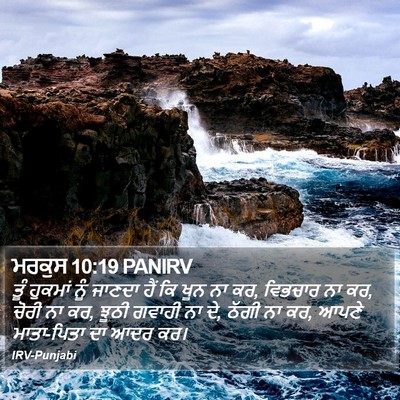 ਮਰਕੁਸ 10:19 PANIRV Bible Verse Image