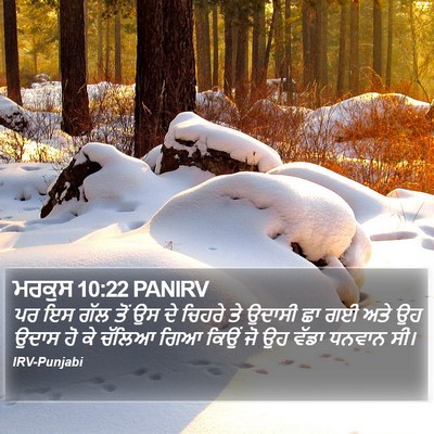 ਮਰਕੁਸ 10:22 PANIRV Bible Verse Image