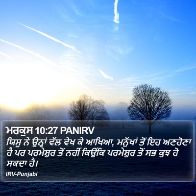 ਮਰਕੁਸ 10:27 PANIRV Bible Verse Image
