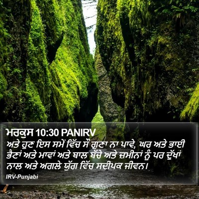 ਮਰਕੁਸ 10:30 PANIRV Bible Verse Image