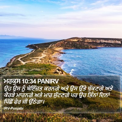 ਮਰਕੁਸ 10:34 PANIRV Bible Verse Image