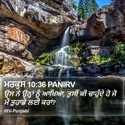 ਮਰਕੁਸ 10:36 PANIRV Bible Verse Image
