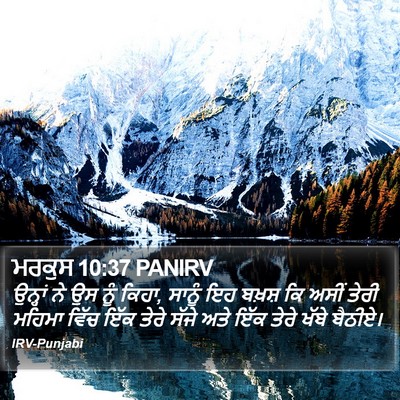 ਮਰਕੁਸ 10:37 PANIRV Bible Verse Image