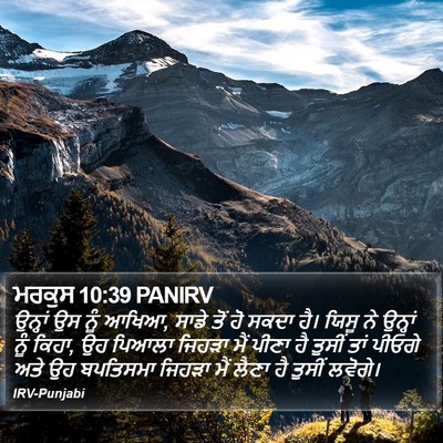 ਮਰਕੁਸ 10:39 PANIRV Bible Verse Image