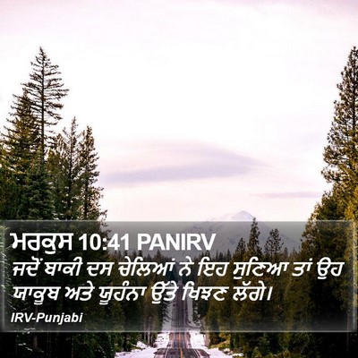 ਮਰਕੁਸ 10:41 PANIRV Bible Verse Image