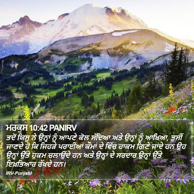 ਮਰਕੁਸ 10:42 PANIRV Bible Verse Image