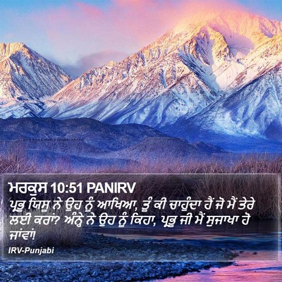 ਮਰਕੁਸ 10:51 PANIRV Bible Verse Image