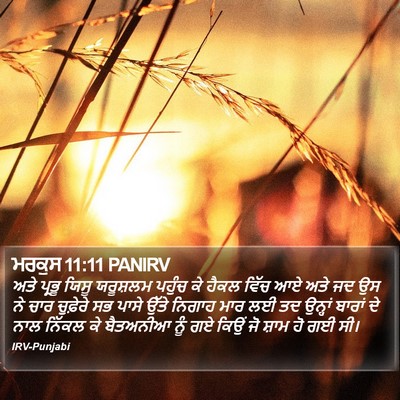 ਮਰਕੁਸ 11:11 PANIRV Bible Verse Image