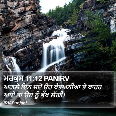 ਮਰਕੁਸ 11:12 PANIRV Bible Verse Image