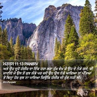 ਮਰਕੁਸ 11:13 PANIRV Bible Verse Image