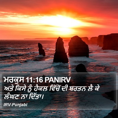 ਮਰਕੁਸ 11:16 PANIRV Bible Verse Image