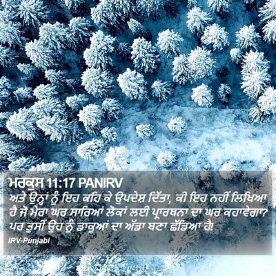 ਮਰਕੁਸ 11:17 PANIRV Bible Verse Image