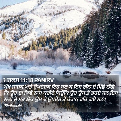 ਮਰਕੁਸ 11:18 PANIRV Bible Verse Image