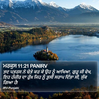 ਮਰਕੁਸ 11:21 PANIRV Bible Verse Image