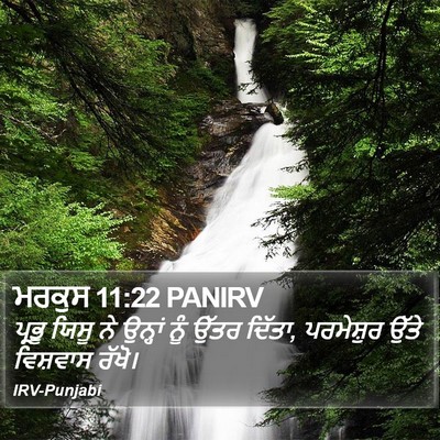 ਮਰਕੁਸ 11:22 PANIRV Bible Verse Image