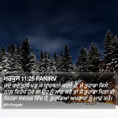ਮਰਕੁਸ 11:25 PANIRV Bible Verse Image